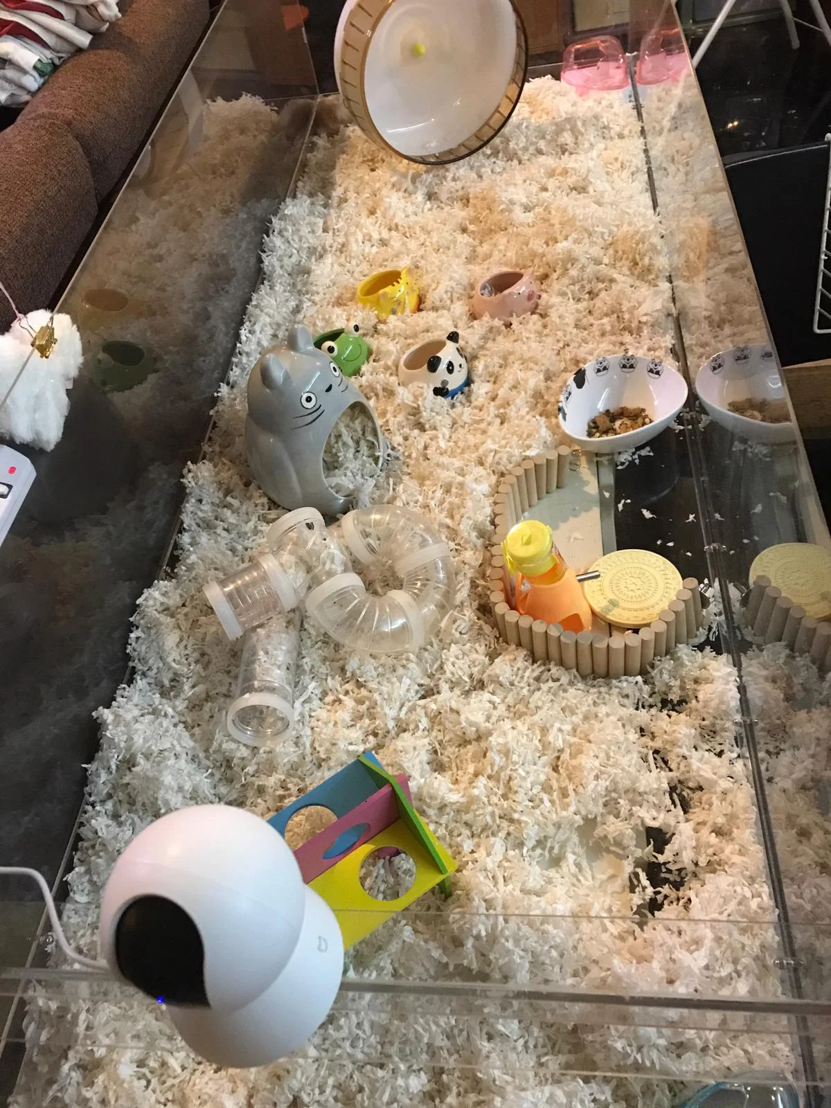 Dwarf hamster sales minimum cage size